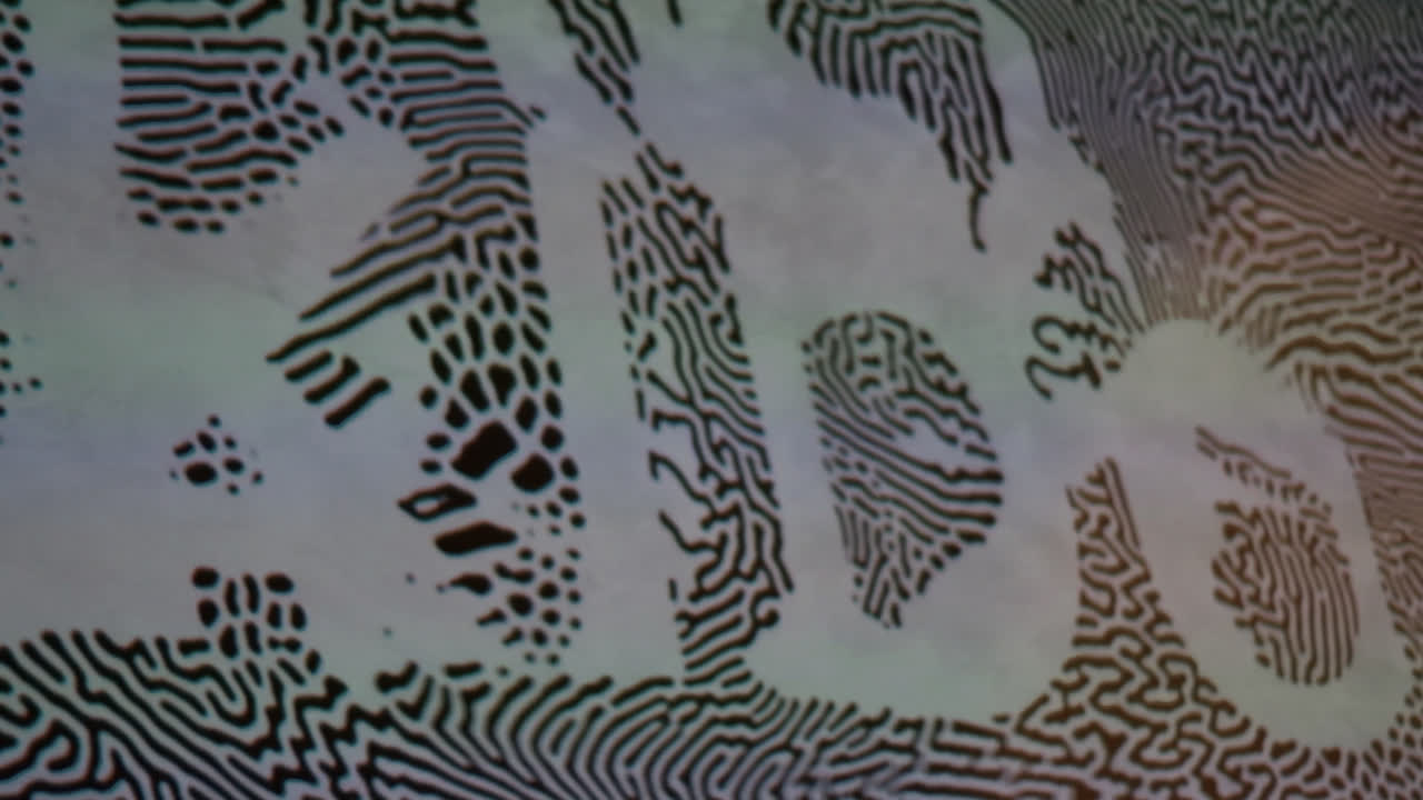 kibo — image 2