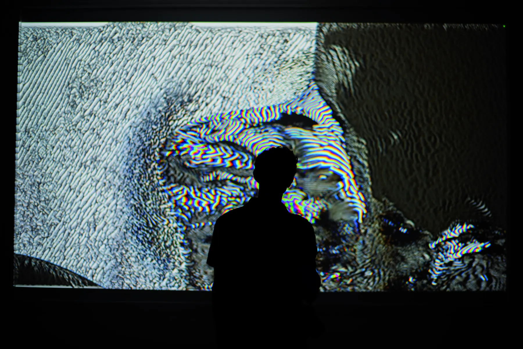 squatters × videocittà 2024 — image 15