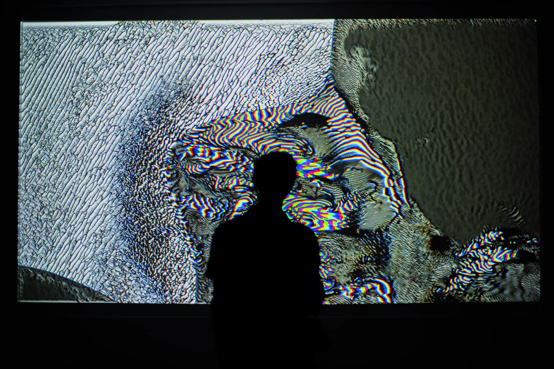 squatters × videocittà 2024 — image 16