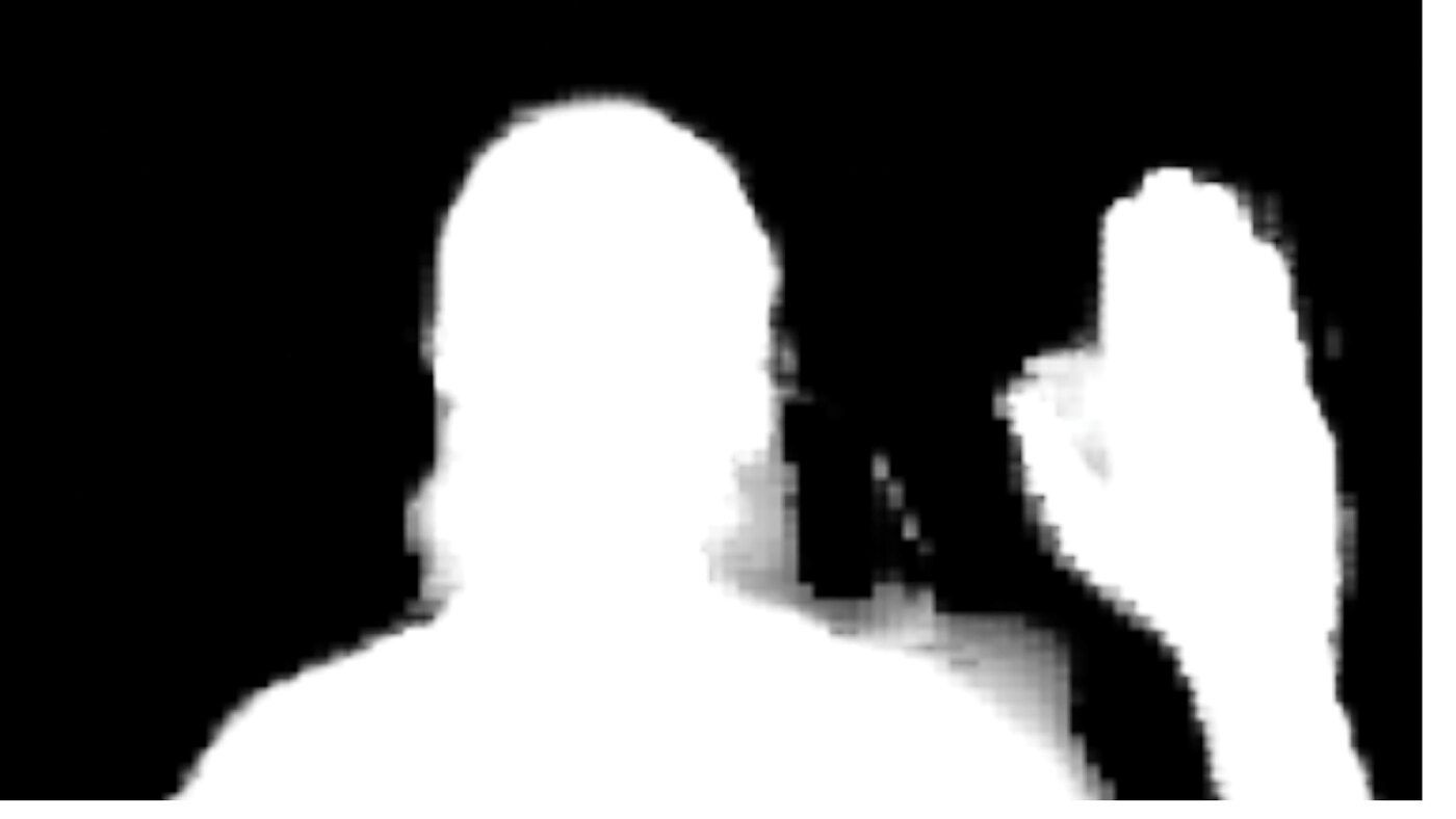 binary segmentation mask